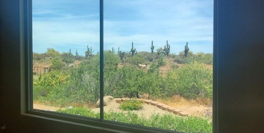 Arizona Window and Door in Scottsdale and Tucson showing large windows to outside